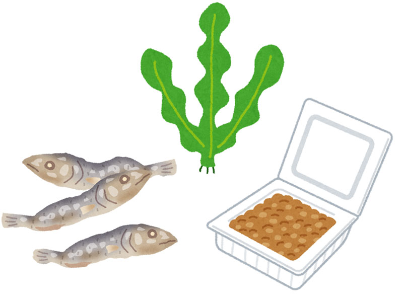 イラスト_豆腐や納豆などの大豆食品、小魚、海藻